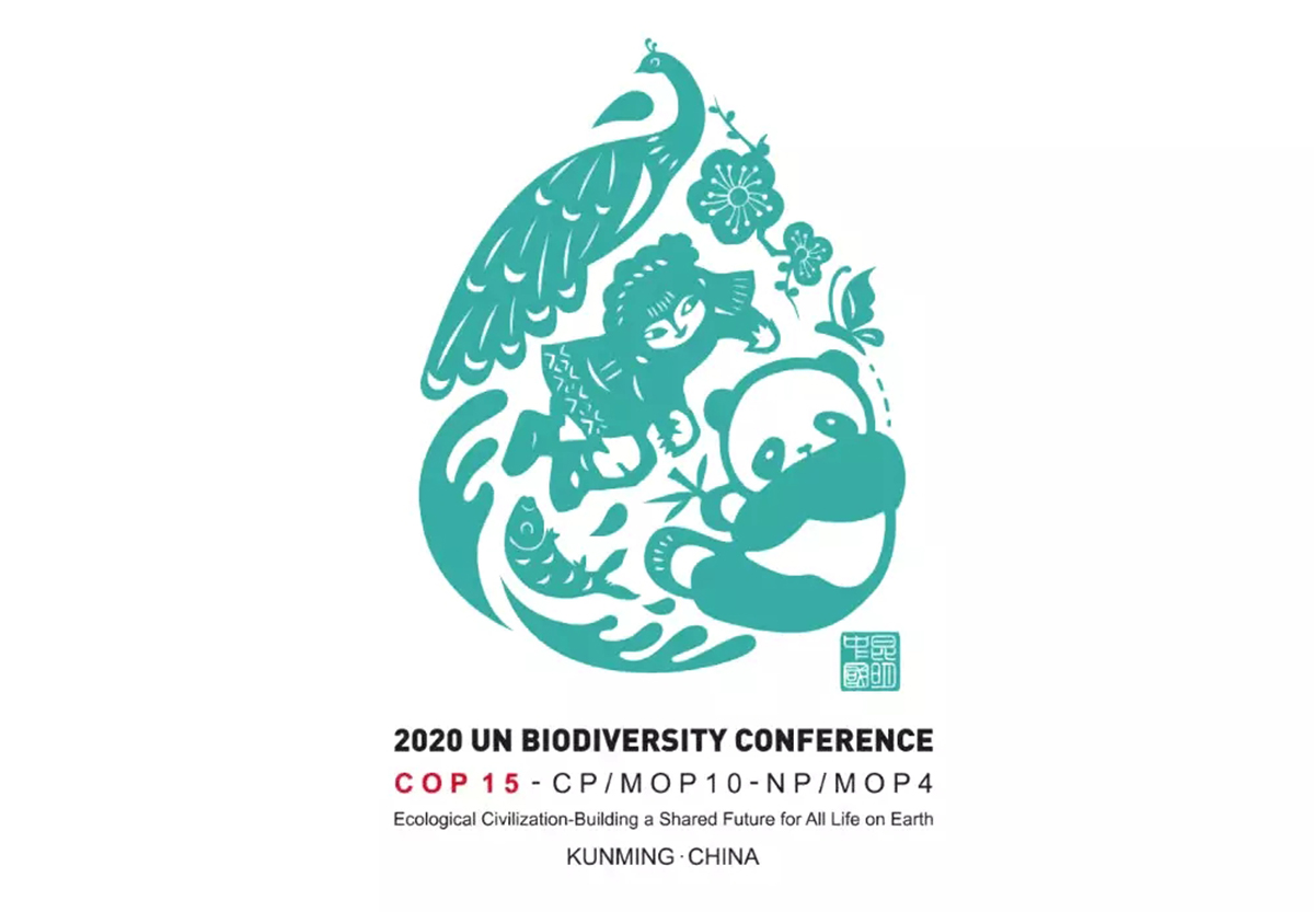 2020年联合国生物多样性大会会徽设计